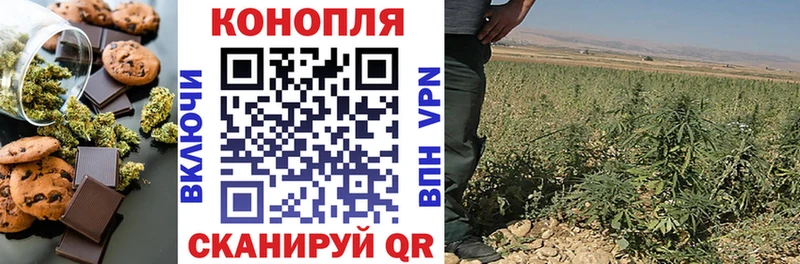 Canna-Cookies конопля  omg сайт  Жирновск  купить  сайты 