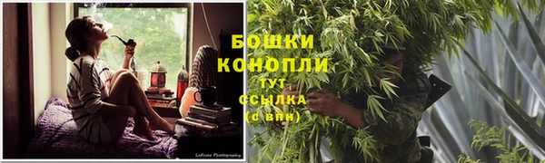 прущие грибы Белоозёрский
